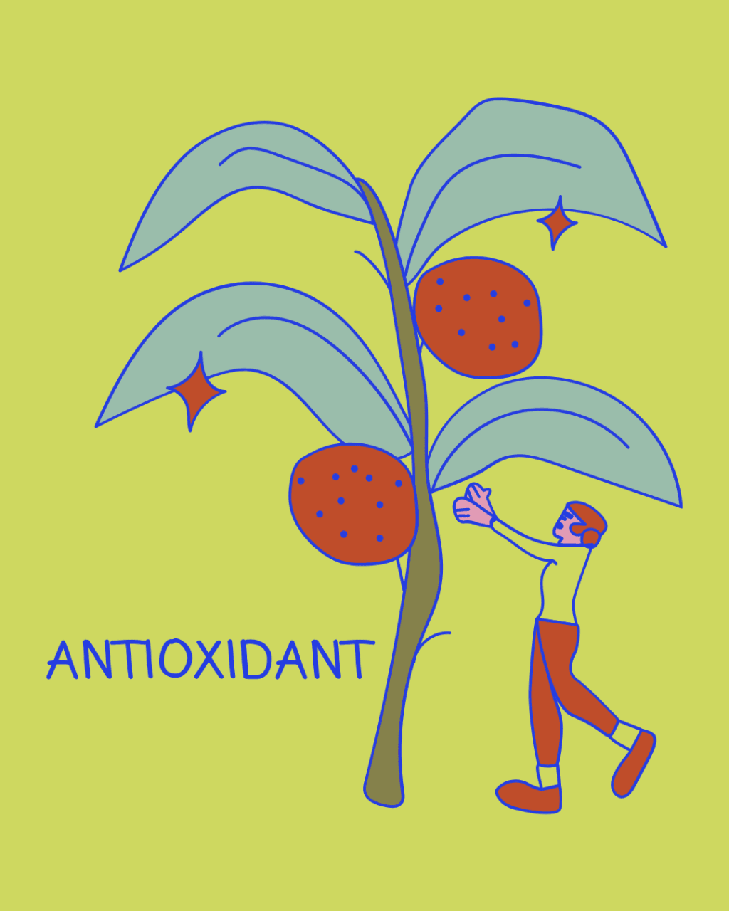 Milk Thistle